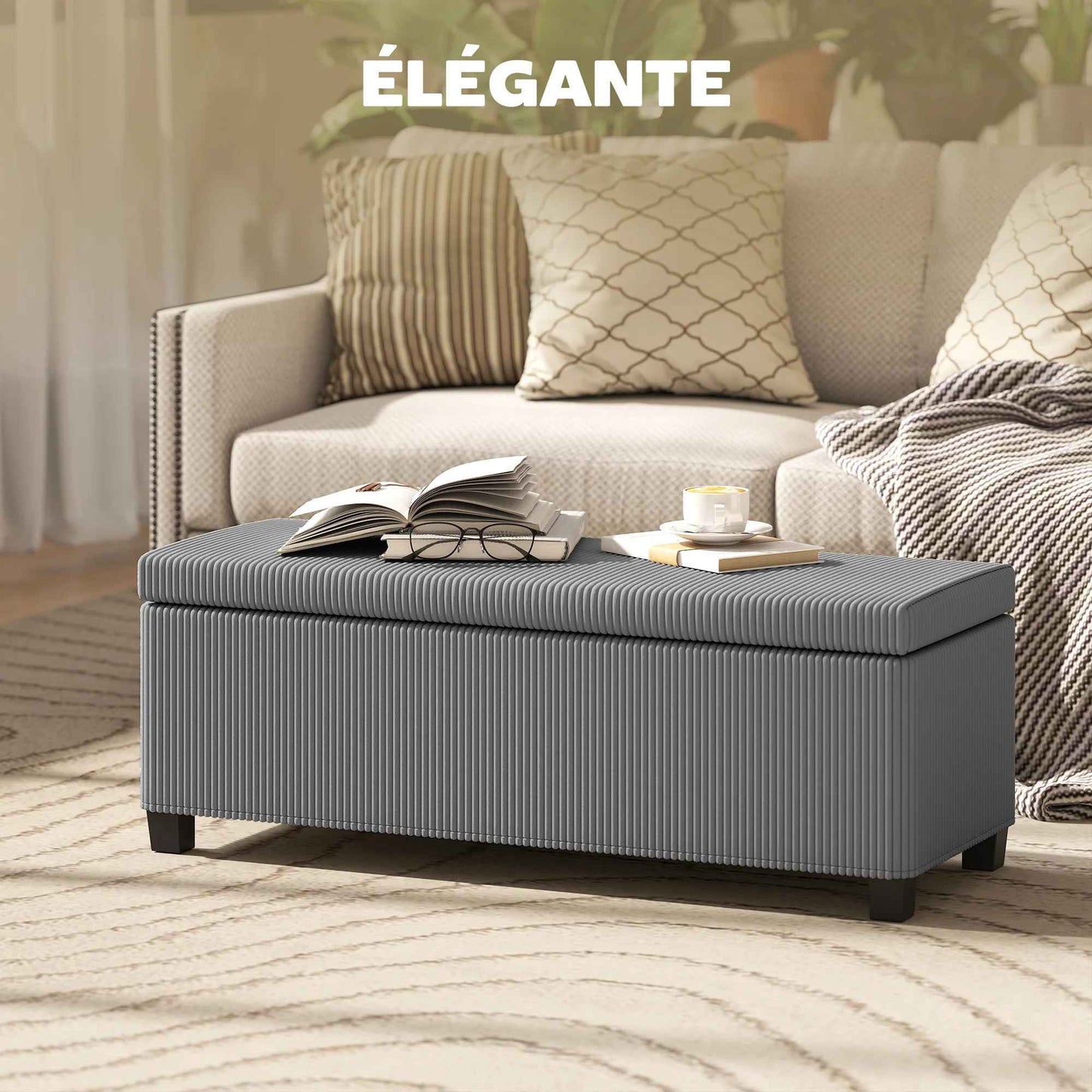 banc de rangement dans le salon